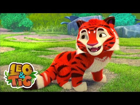 Leo & Tig -  Um presente do espírito da Taiga | Desenhos infantil 🐯🦁