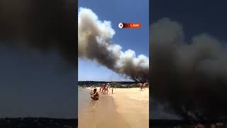 Wildfires sweep through Spain's Cadiz as beachgoers watch on | REUTERS
