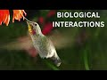 Ecological Interactions and Relationships