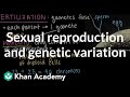 Exploring Sexual Reproduction and Genetic Variation