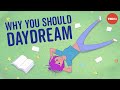 Understanding Daydreaming and Brain Networks