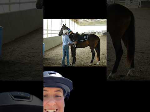 Why are people in the horse world like this?
