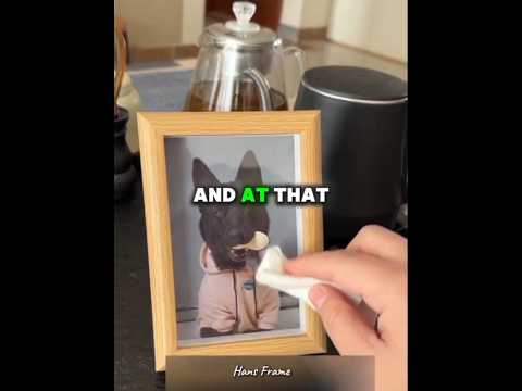 He lost his beloved dog.๐พ #shorts