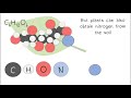 Exploring Macromolecules and Their Functions