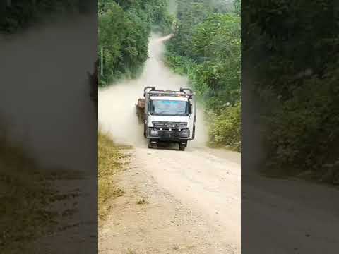 Nyali di atas rata-rata driver truk logging