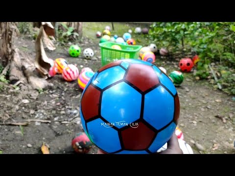 Woowww... Keseruan Melempar Bola Bola