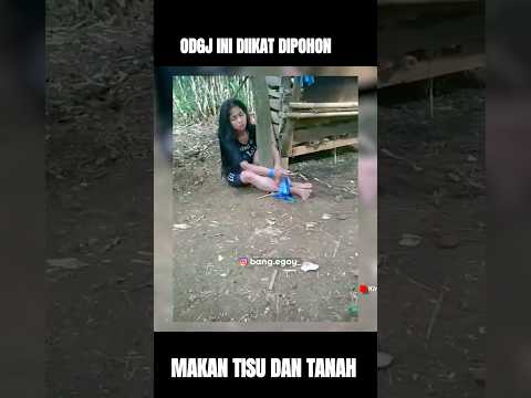 Sicantik d*ikat dipohon karena D3presi #odgj #odgjviral #odgjcantik