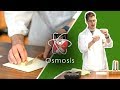 Osmosis in Potato Samples