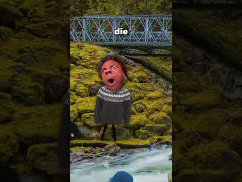 Tricks That Will Save Your Life ๐ณ