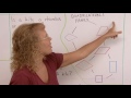 Understanding Quadrilaterals