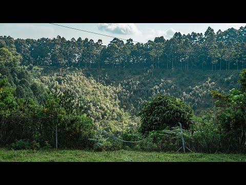 Aya MANYWA:🚨Taliki17|6 Inkuru Mbi UVIRA na PINGA Tombe KAVUMU,BUKAVU Birahindutse Imirwano yakaze