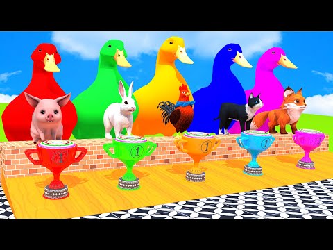 5 Giant Duck Cartoon,Cow,Elephant,zebra,Tiger,Lion, Paint Wild Animals Crossing Fountain Animation