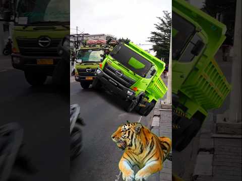 Dump truck hino Tiger #shorts #truck #truk