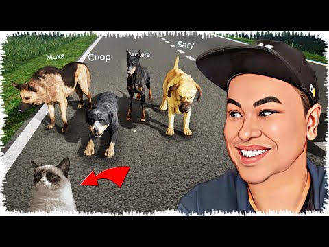 Ютубер Аликтің иттері мысықпен кездесті | Обал ай!
