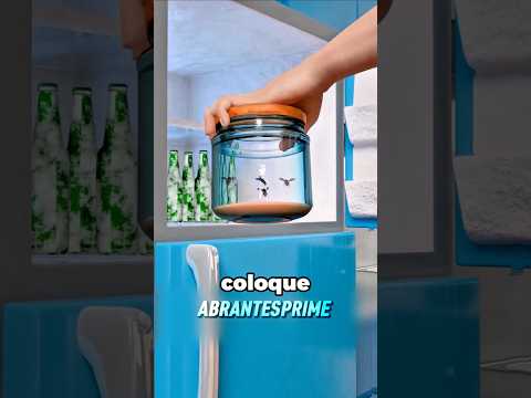 Ele colocou várias moscas na geladeira! 😱 #curiosidades #fatoscuriosos #shorts