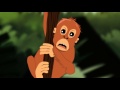 Pelestarian Orangutan