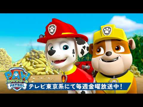 パウ・パトロール | ラブルとマーシャルのいちばん勇気あるシーン!🐾 | ラブル&クルー | テレビ東京系にて放送中