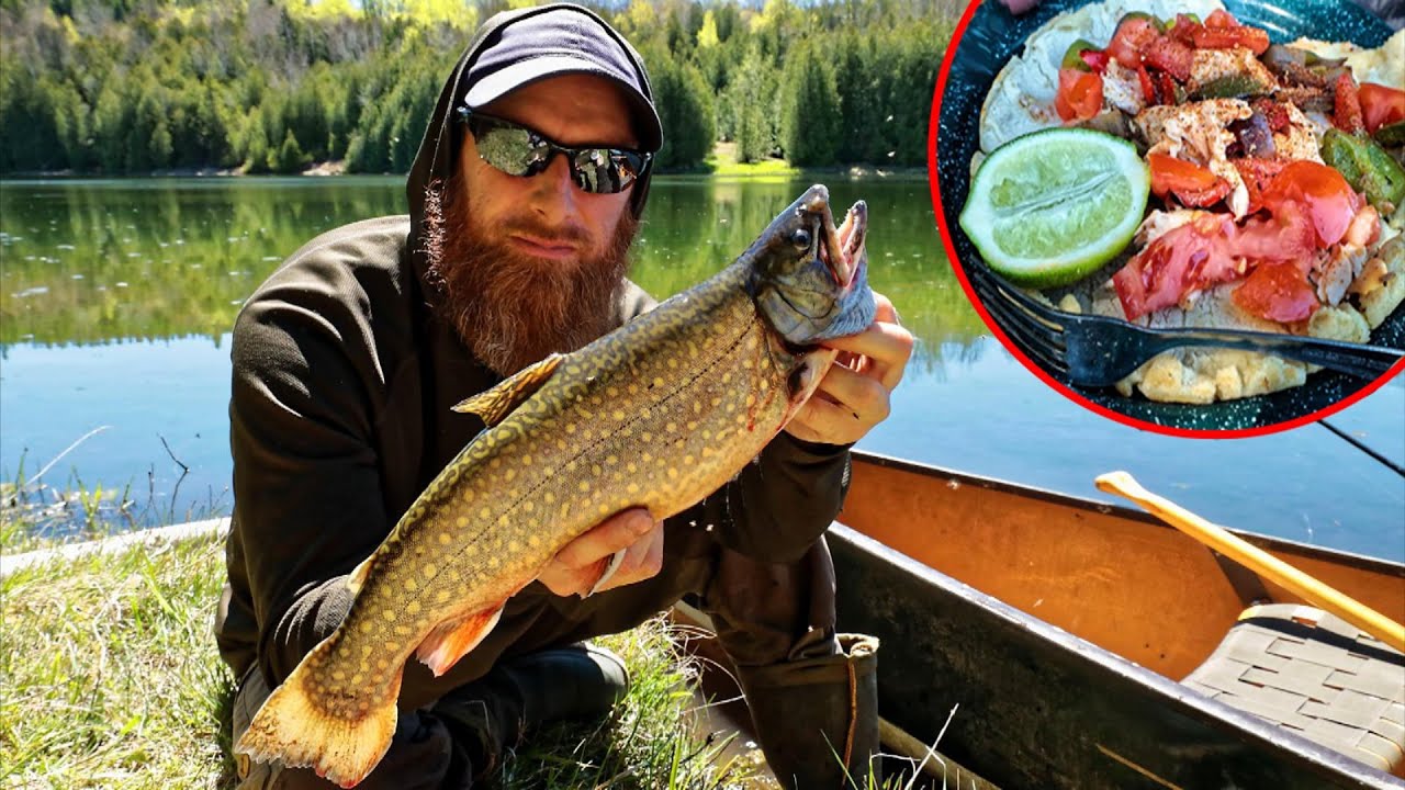 BACKWOODS Trout Catch and Cook! - Amazing Fish Wrap Taco