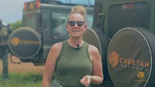 Cheetah Safaris in Masai Mara