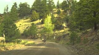 Colorado