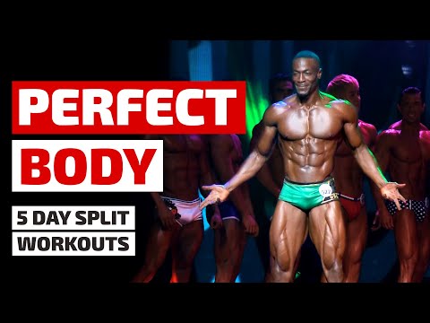 World's Most Perfect Body - 5 Day Workout Split