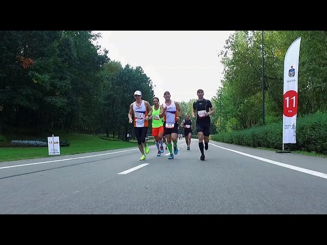 silesia marathon