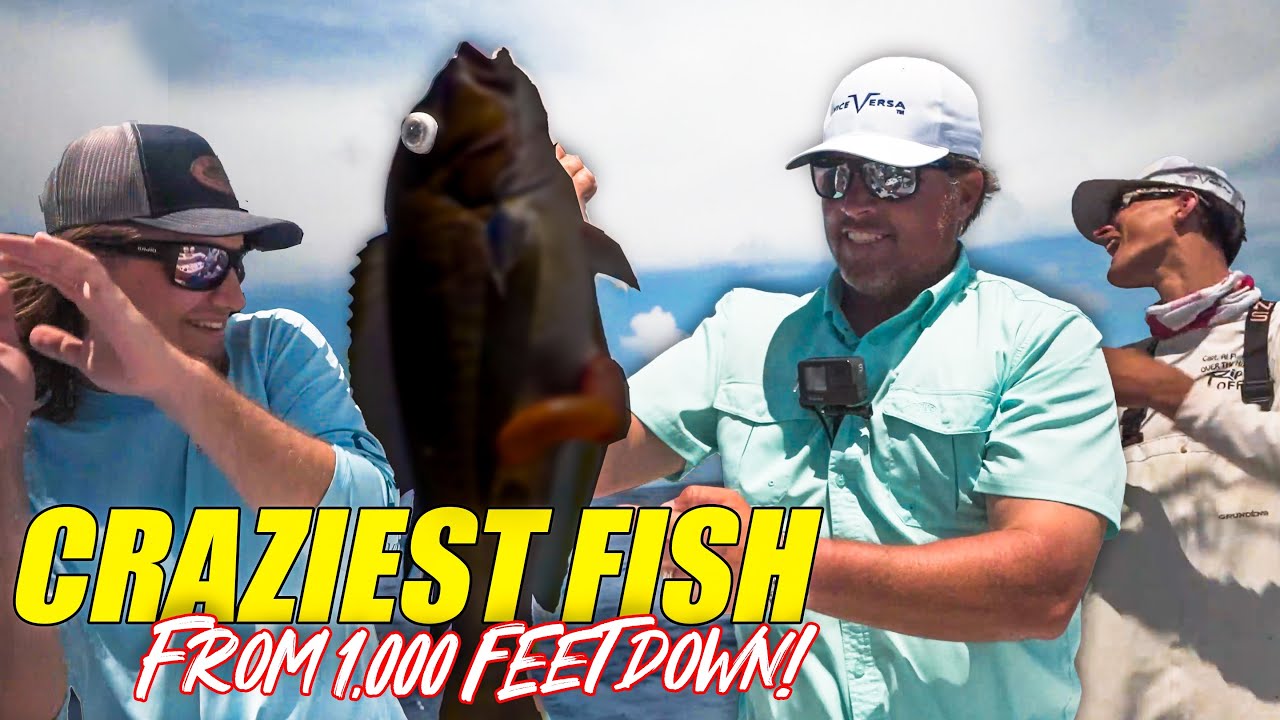 CRAZIEST Looking Fish CAUGHT in 1, 000 feet of Water! - Vice Versa Fishing Charters