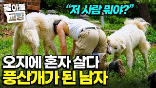 “혼자 떠나게 해 미안했다” 떠나간 개들에게 전하는 마지막 고백, 평생을 오지에서 반려견에게 바친 사나이 #몰아볼교양