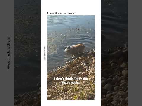 It's the same rock it just expanded in the water (via: @collinsbrothers/tt)