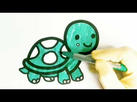 Easy Tortoise Coloring for Kids | Cute Animal Drawing and Coloring 🎨color a tortoise step by step! 🐢