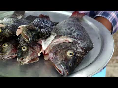 fish kulambu recipe /play boy cooking /