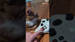 How my cat feels cheering me on vs actually playing 😭