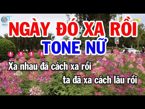 Karaoke Ngày Đó Xa Rồi Tone Nữ ( Am ) Nhạc Sống Mới | Karaoke Tuấn Kiệt