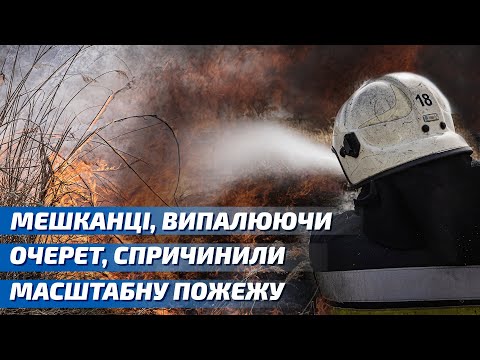 Харків: місцеві мешканці, випалюючи очерет, спричинили масштабну пожежу