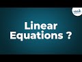 Solving Linear Equations Concepts