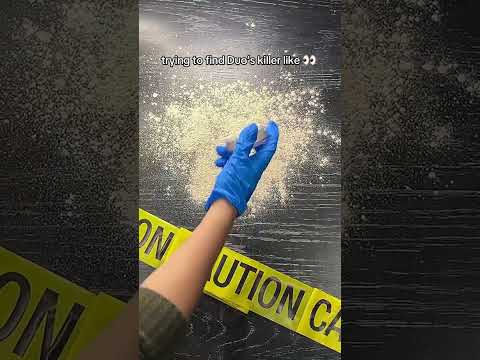 e.l.f. is Finding the Killer