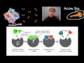 Enzymes and Their Functions