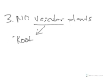Paleozoic Era Environmental Factors