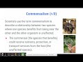 Exploring Community Interactions and Food Webs