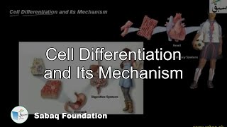 Cell Differentiation and Its Mechanism