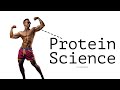 Optimizing Protein Intake for Muscle Growth