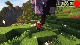 Minecraft, But YOU Control The Stream