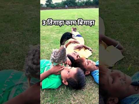 Baby Duck कब्र से जिंदा होकर तोते की तरह बोलने लगा |#youtubeshorts #ytshort #minivlog #petsvlog