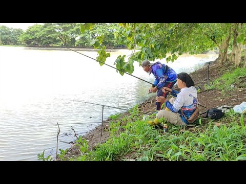 AWESOME ‼️ BEST VILLAGE FISHING VIDEO EVER 🎣#fishing