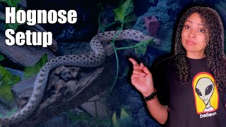 NEW Hognose Setup | 2025