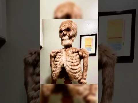 Rare Photos That You Won’t Believe Exist!