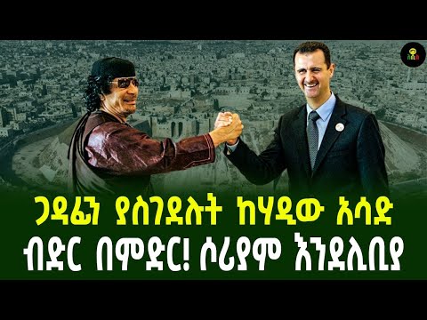 ጋዳፊን ያስገደሉት ከሃዲው አሳድብድር በምድር! ሶሪያም እንደሊቢያ