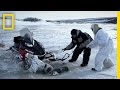 Ice Adventure Quiz