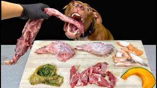 やみつきになる犬の咀嚼音！最強の犬が生肉とアヒルの骨をバリバリ食べる