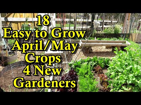 18 Easy to Grow Crops for April/May & the Fall with Growth Examples